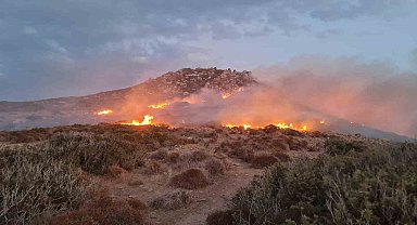 Bodrum'daki yangında 60 dönümlük alan zarar gördü