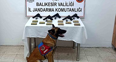 Bomba köpeği 'Vaha' kaçak silahları buldu