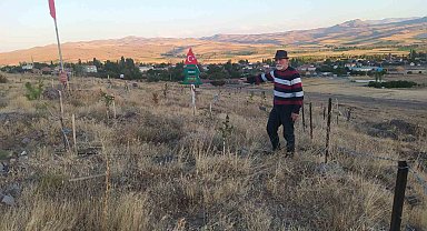 Bozkırı yeşertmek için ter döküyor