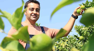 Bu limon 'yeşil limon' fiyatı: 40 TL, diğerleri 3 TL