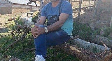 Bursa'da yola fırlayan domuza çarpan araç zeytinliğe uçtu: 2 ölü