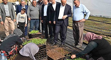 Bursa'nın çiçekleri, dağ bölgesinde açıyor