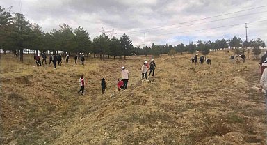 Büyükşehir, Bünyan'da öğrencilerle bin adet ağaç dikti