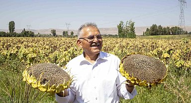 Büyükşehir'den ay çekirdeği üretiminde ilk sırada olan Kayseri'ye 5 kurutma sahası