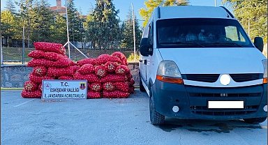 Çalınan 50 bin liralık soğan jandarma ekiplerince ele geçirildi
