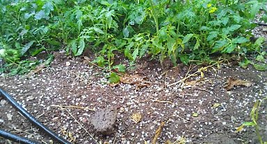 Çameli'de dolu yağışı hayatı olumsuz etkiledi