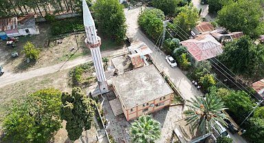 Cami avlusundaki hurmalar toplandı