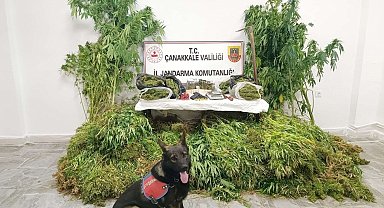 Çanakkale'de jandarmadan uyuşturucu operasyonu: 6 tutuklama