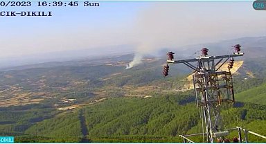 Çanakkale'de orman yangını