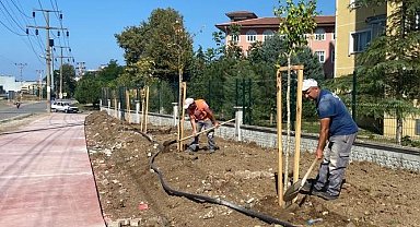 Canik'te parklar ağaçlandırılıyor