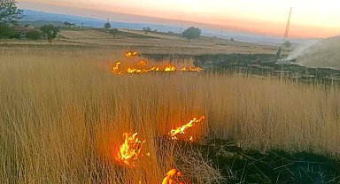 Çankırı'da ot yangını