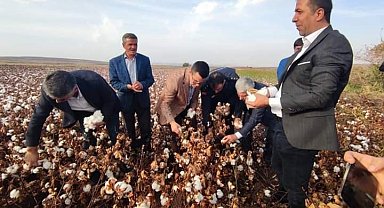 Çermik Kaymakamı Yılmaz, pamuk hasadına katıldı