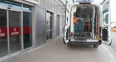 Ceviz ağacından düşen adam yaralandı