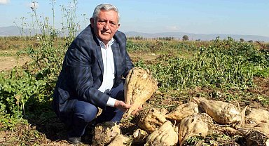 Çiftçi pancar şekeri fiyatından memnun değil