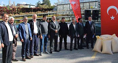 Çiftçilere buğday tohumu dağıtıldı