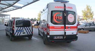 Çıktığı ceviz ağacı hayatına mal oldu