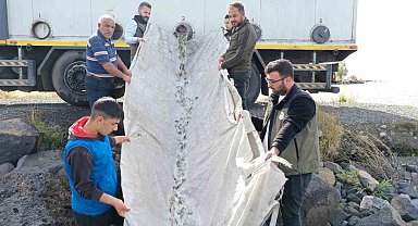 Çıldır Gölü'ne 2 bin 800 yavru sazan bırakıldı