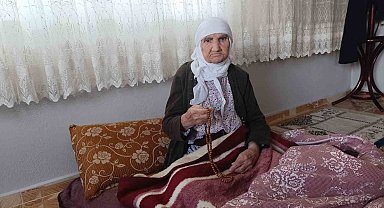 Cumhuriyetle yaşıt asırlık çınarın gözünden 100. yıl