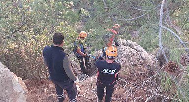 Dağlık alanda mahsur kalan keçiler kurtarıldı