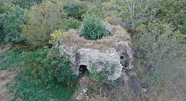 Defineciler tarafından talan edildi, içerisinde büyüyen ağaç ise şaşırttı