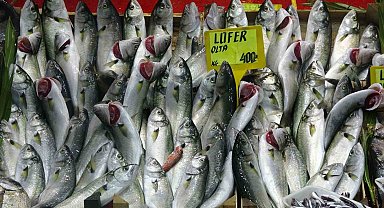 Denizlerin prensi 'lüfer' yarı yarıya ucuzladı