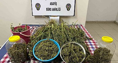 Depoda 3 kilo kenevir çıktı