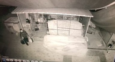 Depremzede esnafa hırsızlık şoku