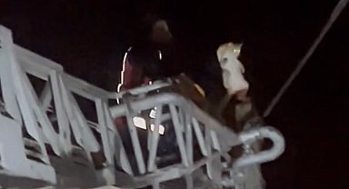 Direkte mahsur kalan kedi kurtarıldı