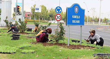 Diyarbakır'da 1 milyon 200 bin kışlık çiçeğin toprakla buluşturulması hedefleniyor