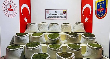 Diyarbakır'da 1 ton 354 kilo esrar, 122 bin uyuşturucu bitkisi ele geçirildi