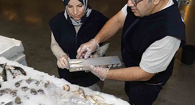 Diyarbakır'da balık satış yerleri denetlendi