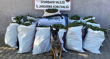 Diyarbakır'da bir adreste yapılan aramada 177 kilo esrar ele geçirildi