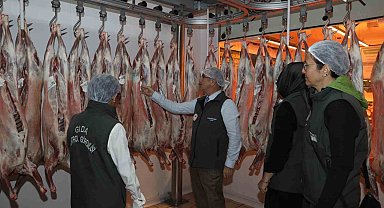 Diyarbakır'da hayvansal ürün satan iş yerlerinde sıkı denetim