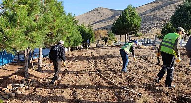 Doğanşehir Belediyesi 39 mahallede mezarlık temizliği yapıyor
