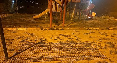 Domaniç'te ayı paniği