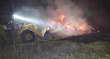 Domaniç'te çıkan yangında 20 büyükbaş hayvan yanmaktan son anda kurtarıldı