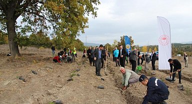Domaniç'te fidan dikim etkinliği