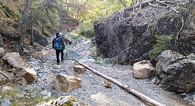 Domaniç'te kaybolan yaşlı adam için arama çalışması