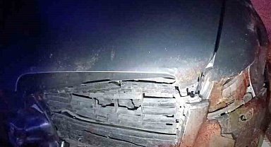 Domuz sürüsüne çarpan otomobildeki 6 kişi yaralandı