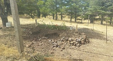 Domuzların talanı bitmedi: Bu defa mezarlıklara dadandılar