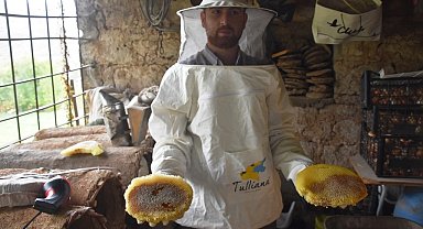 Dünyaca ünlü Bitlis kara kovan balının hasadına başlandı