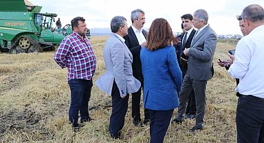 Edirne'de 'beyaz altın'ın hasadı başladı