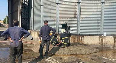 Edirne'de ayçiçeği kurutma silolarında yangın