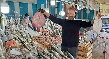Ege'de yaz gitmeyince balıklar da gelmedi