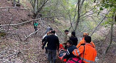 Ekipler ağaçtan düşen adam için seferber oldu