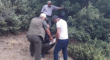 Elazığ'da fotokapanların konum ve kart değişimleri yapıldı