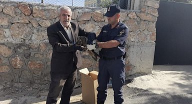 Elazığ'da jandarmanın bulduğu 2 yaralı baykuş koruma altına alındı