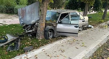 Elazığ'da otomobil ağaca çarptı: 1 yaralı