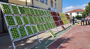 En güzel elma ve armutlar görücüye çıktı