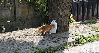 Engelsiz hobi atölyesinde yürek ısıtan etkinlik